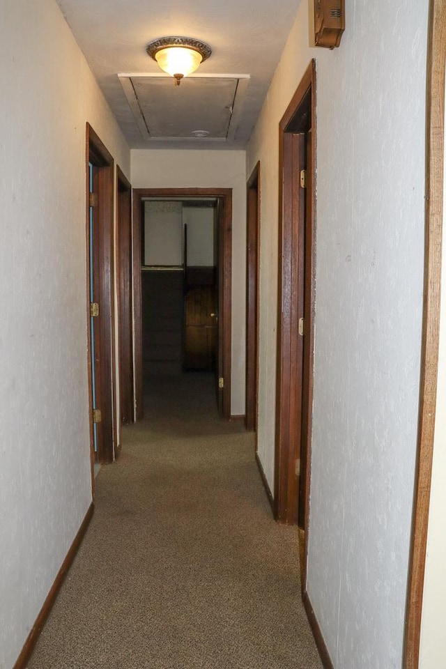 hallway with carpet floors