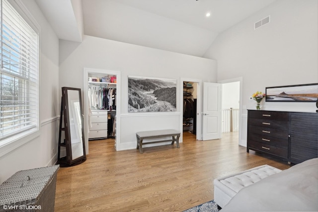 bedroom with multiple windows, a spacious closet, and a closet