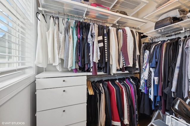 view of spacious closet