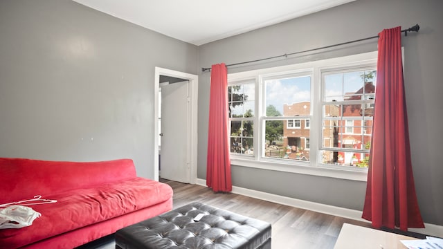 living room featuring hardwood / wood-style flooring