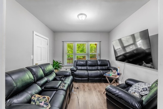 living area featuring wood finished floors