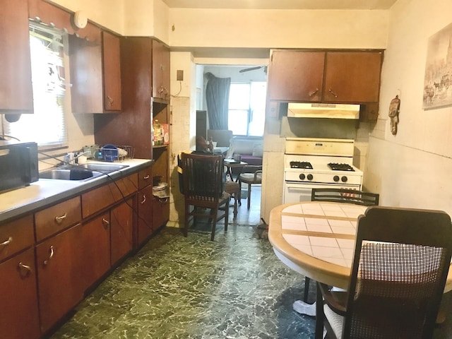 kitchen with a wealth of natural light, white gas range, and sink