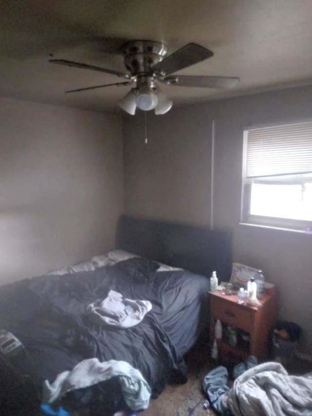 bedroom with ceiling fan