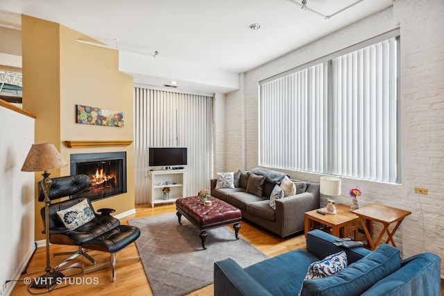 living room featuring light wood-type flooring