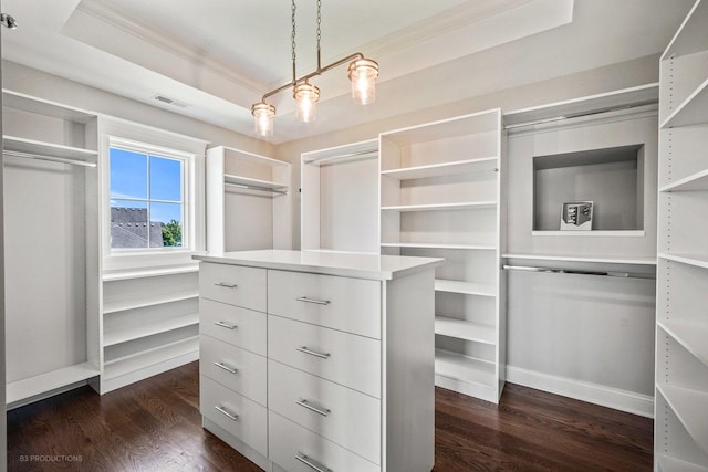 spacious closet featuring a tray ceiling and dark hardwood / wood-style floors