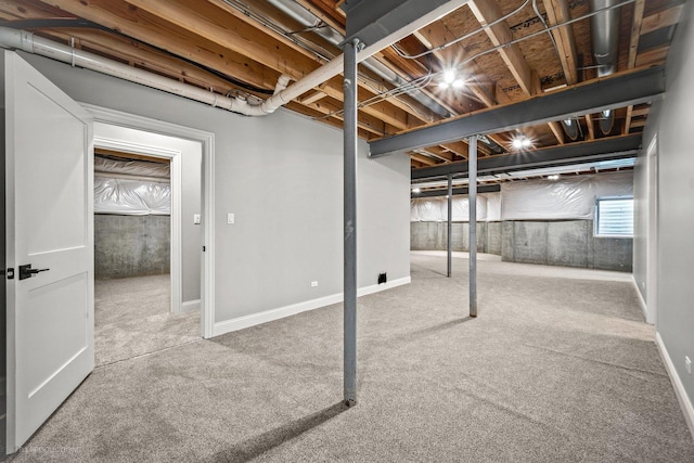 basement featuring carpet