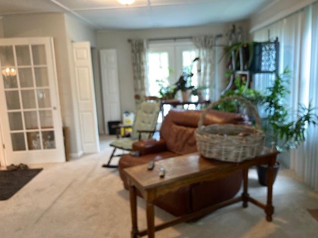 living room featuring carpet flooring