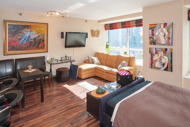 bedroom featuring dark hardwood / wood-style floors