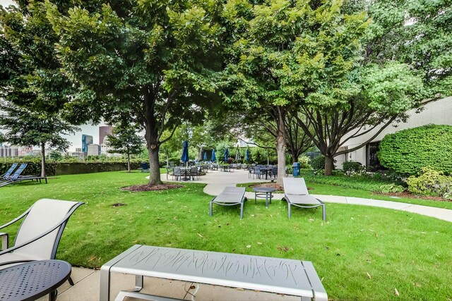 155 N Harbor Dr Unit 1003, Chicago, IL 60601 - view of community with a lawn