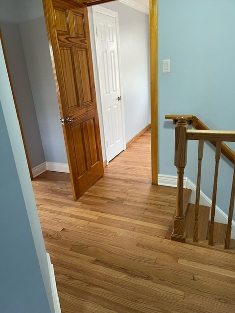 hall featuring ornamental molding and hardwood / wood-style floors