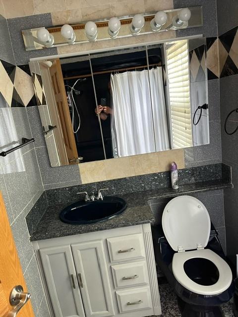 bathroom with toilet and vanity