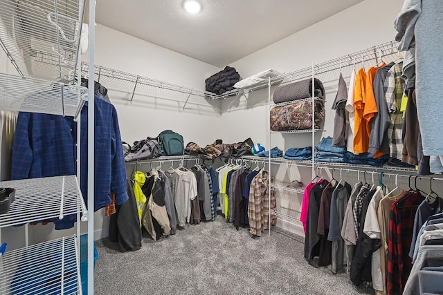 walk in closet featuring carpet