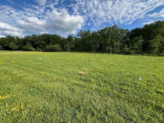 14705 W Concord Ct, Wadsworth IL, 60083 land for sale