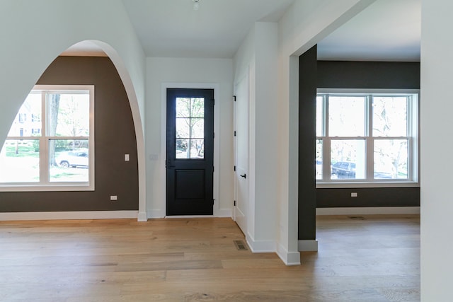 foyer featuring a wealth of natural light and light wood-type flooring