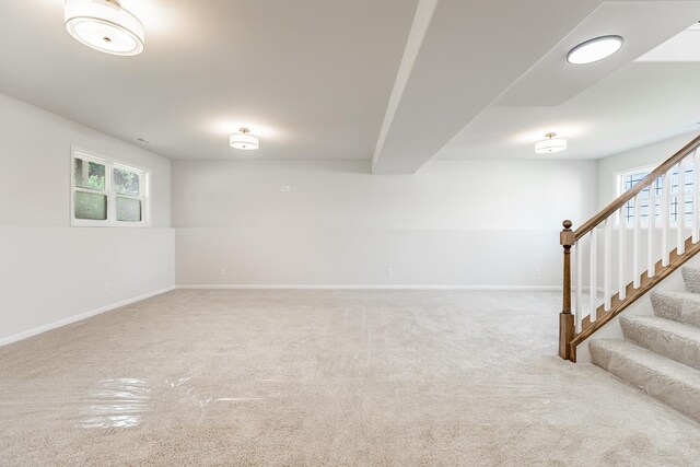 basement with carpet floors