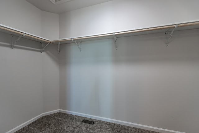 spacious closet with carpet and visible vents