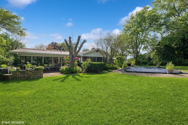 view of yard featuring a patio