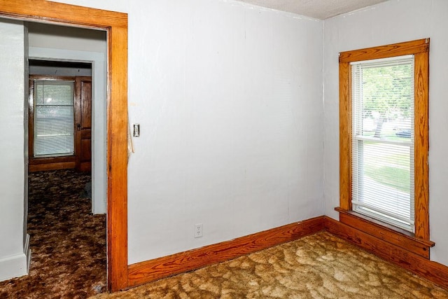 unfurnished room featuring carpet flooring