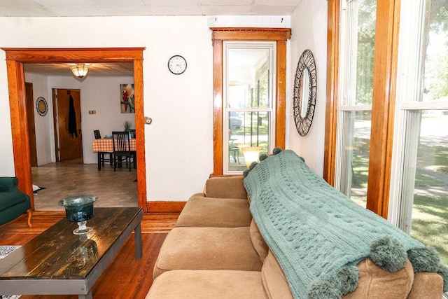 living room featuring plenty of natural light and hardwood / wood-style floors