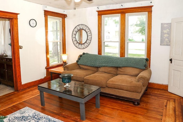 living room featuring ceiling fan and hardwood / wood-style floors