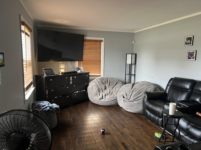 living room with crown molding and dark wood-type flooring