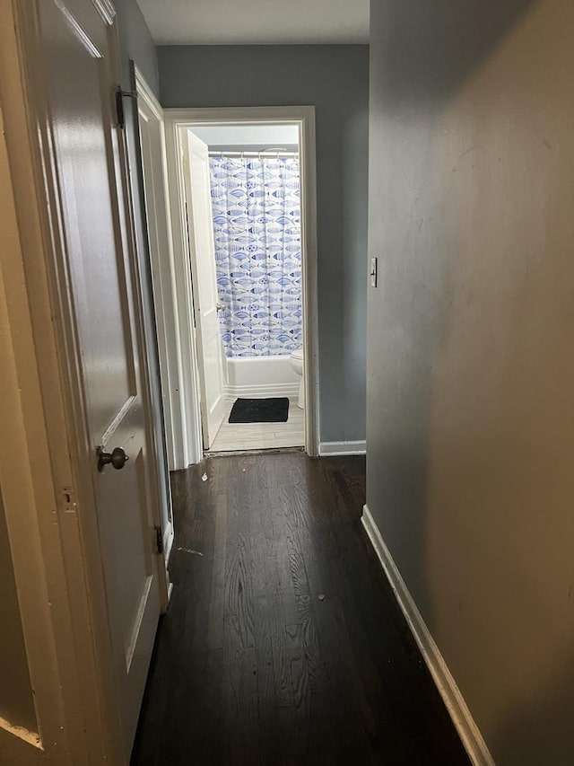 corridor with dark hardwood / wood-style floors