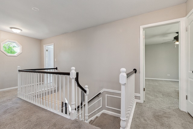 staircase featuring carpet flooring