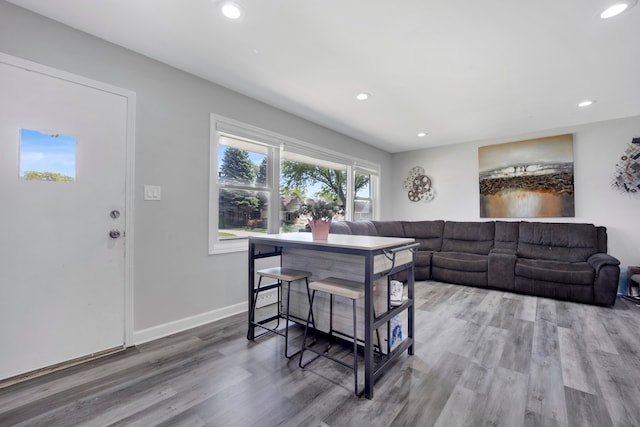 living room featuring wood-type flooring