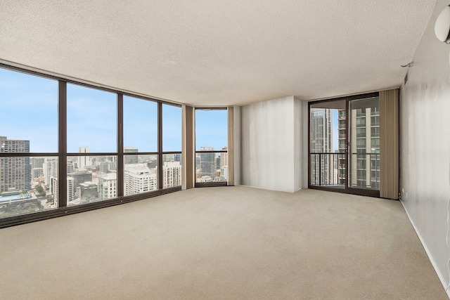 carpeted spare room with a textured ceiling and floor to ceiling windows