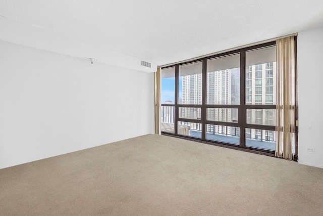 empty room featuring carpet and floor to ceiling windows