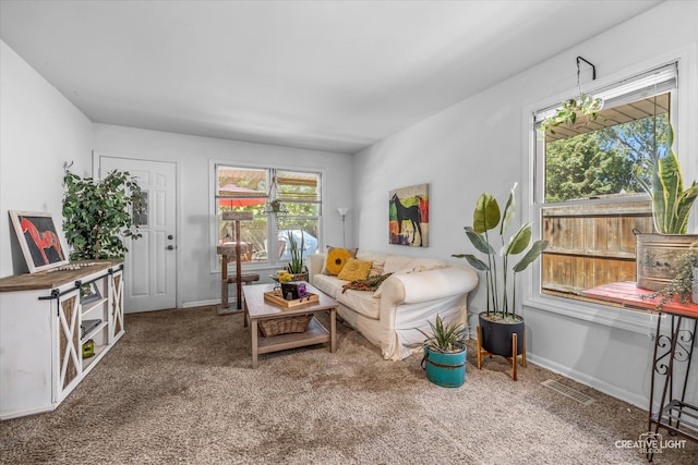 view of carpeted living room