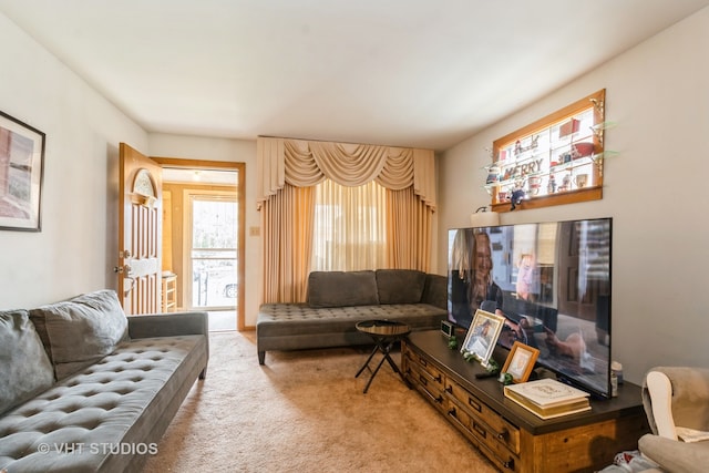 living room with carpet floors