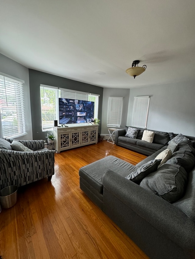 living room with hardwood / wood-style flooring