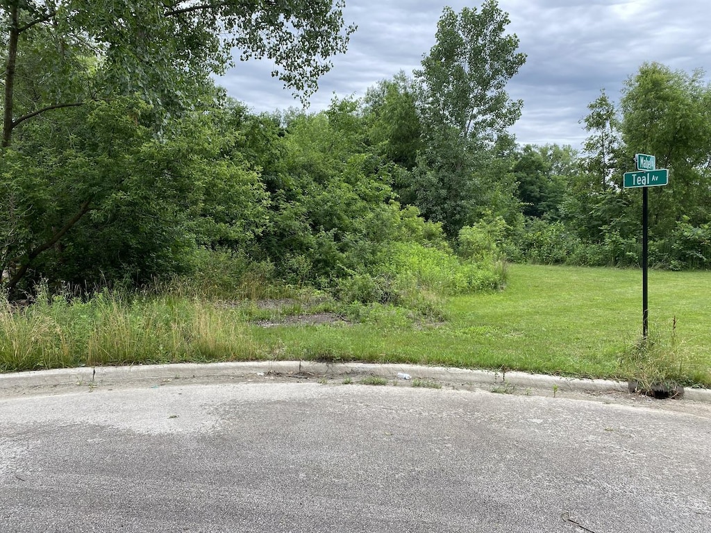 LOTS14 Teal Ave, Elgin, IL 60123 - photo 1