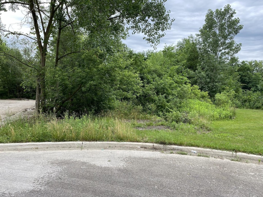 LOTS14 Teal Ave, Elgin, IL 60123 - photo 2