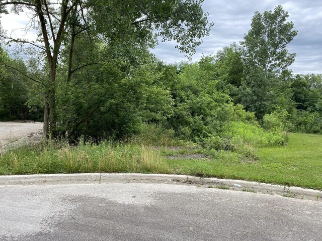 LOTS14 Teal Ave, Elgin, IL 60123 - photo 2