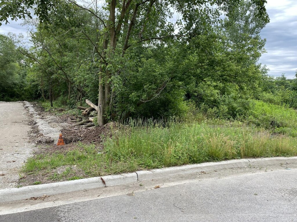LOT17 Teal Ave, Elgin, IL 60123 - photo 3