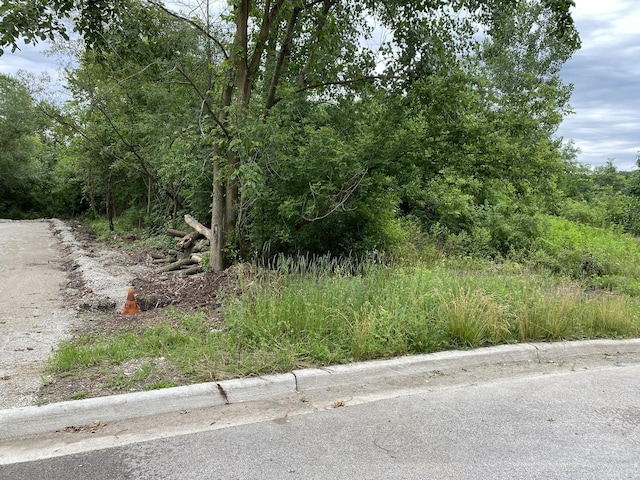 LOT17 Teal Ave, Elgin, IL 60123 - photo 3