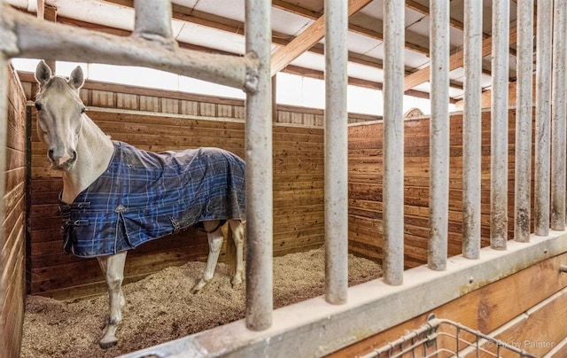 view of horse barn