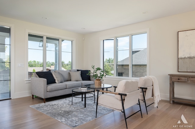 living room with hardwood / wood-style floors and a wealth of natural light