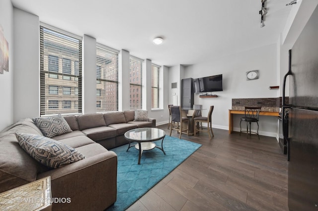 living room with rail lighting and dark hardwood / wood-style floors