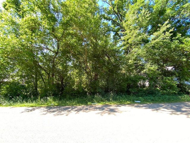 LOT4BLOCK3 Catalpa Dr, Wonder Lake IL, 60097 land for sale