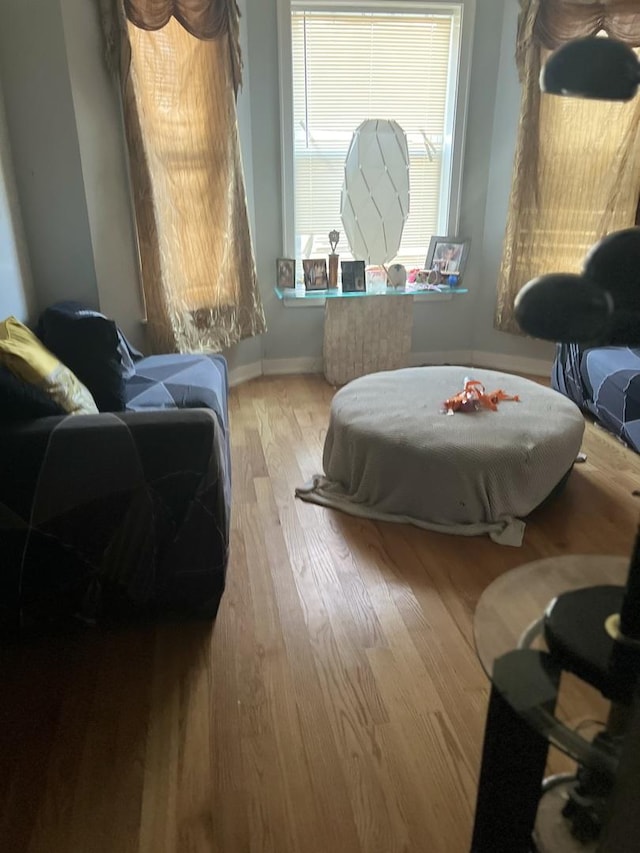 bedroom with light hardwood / wood-style flooring