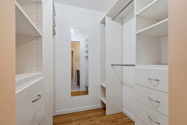 walk in closet featuring hardwood / wood-style flooring