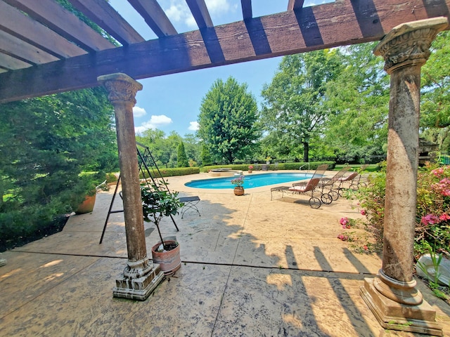 view of pool with a patio area and a jacuzzi