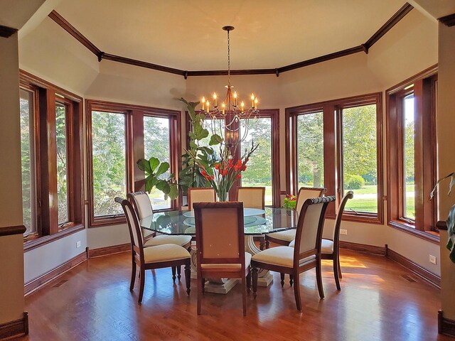 dining space featuring a chandelier, hardwood / wood-style flooring, and a wealth of natural light