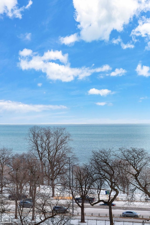 1755 E 55th St Unit 804, Chicago, IL 60615 - water view