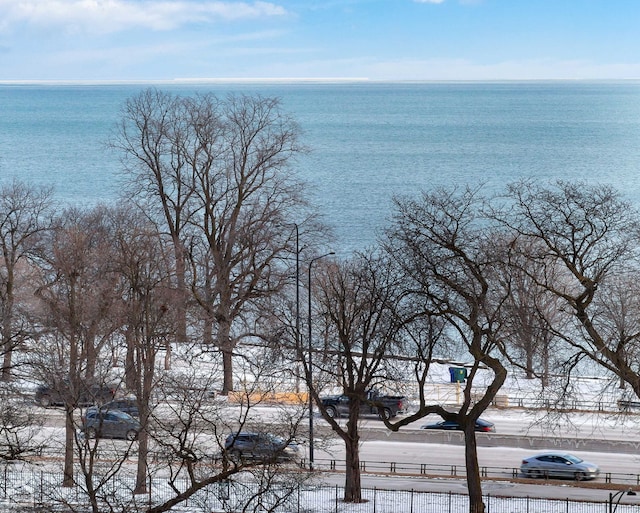 1755 E 55th St Unit 804, Chicago, IL 60615 - water view