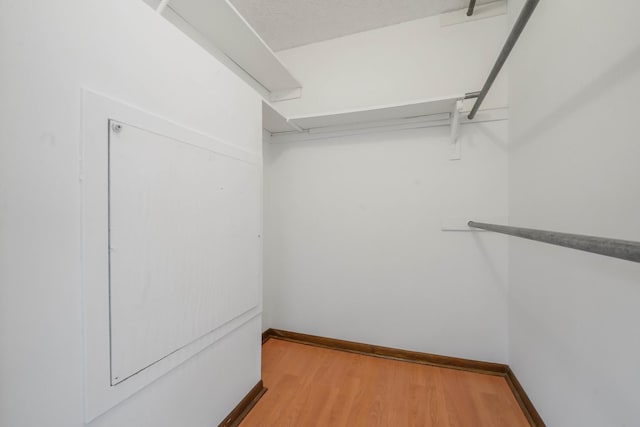 spacious closet with light hardwood / wood-style flooring