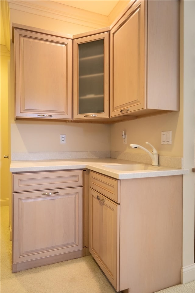 kitchen featuring light colored carpet and sink